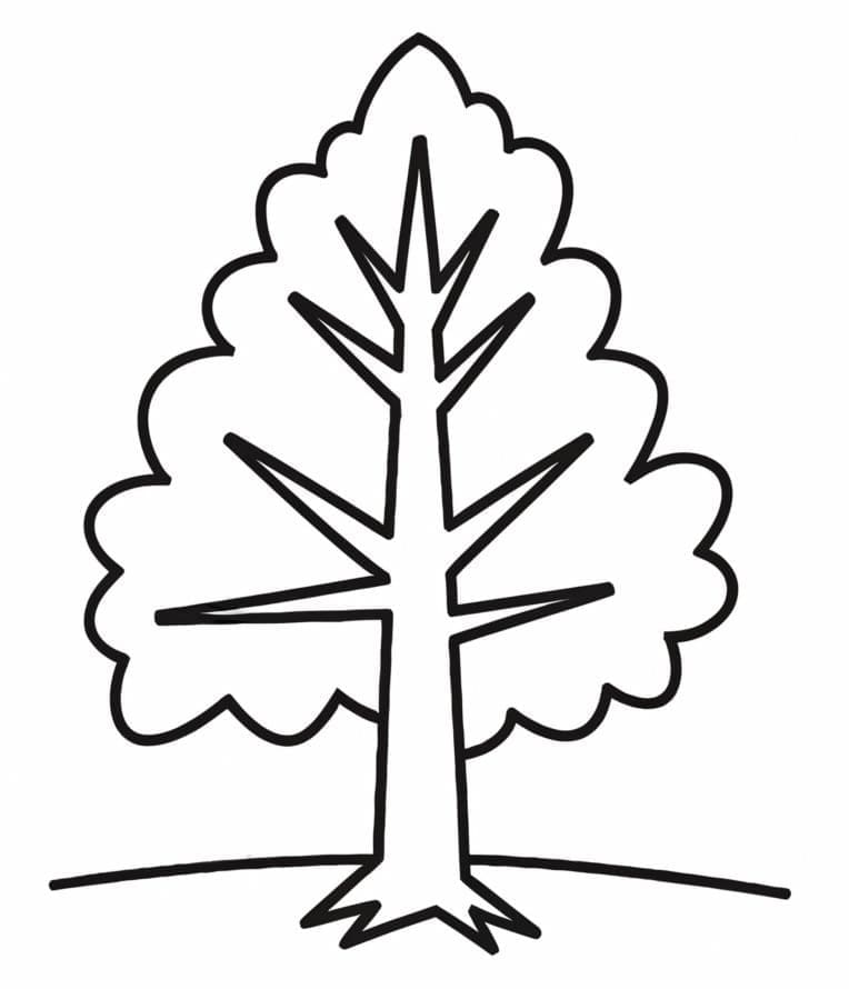 Ağaç (3) Boyama Sayfası