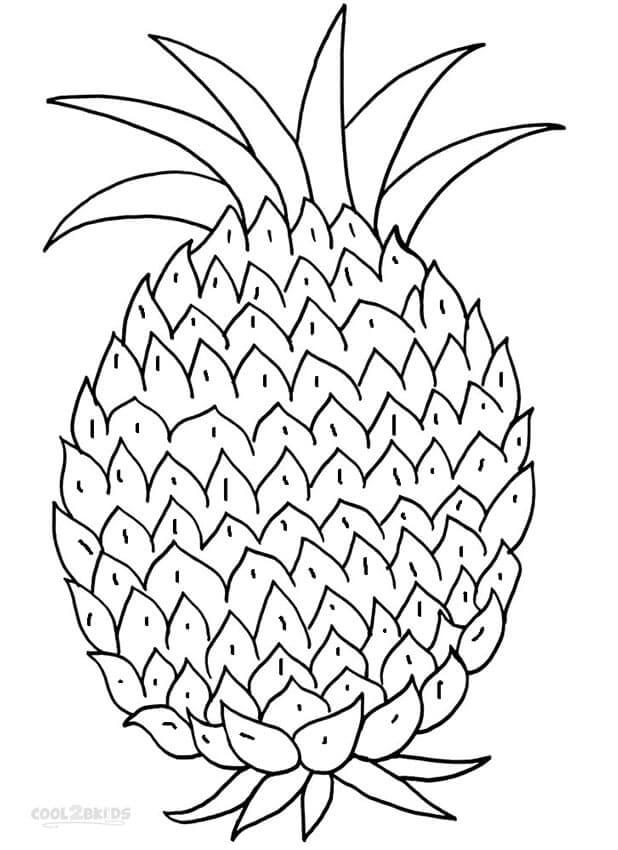 Ananas meyvesi (10) Boyama Sayfası