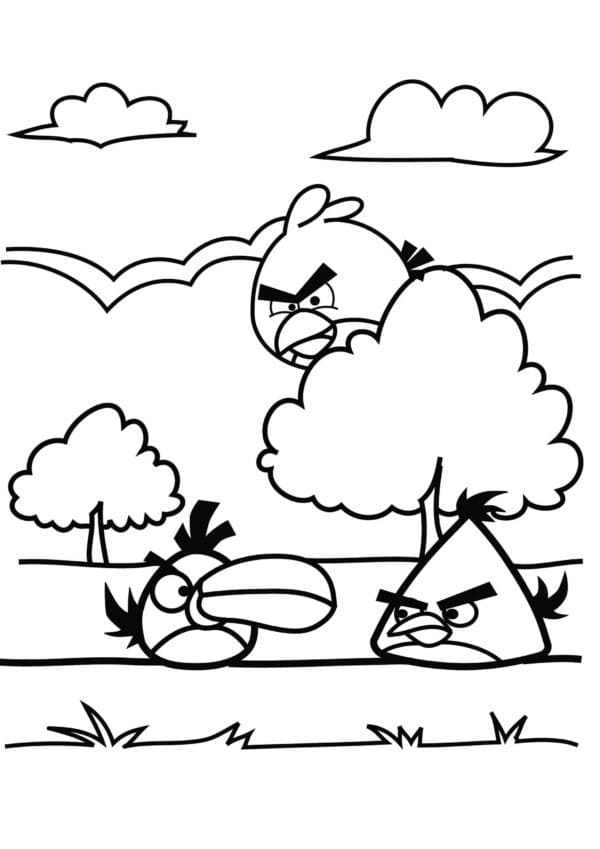 Angry Birds (30) Boyama Sayfası