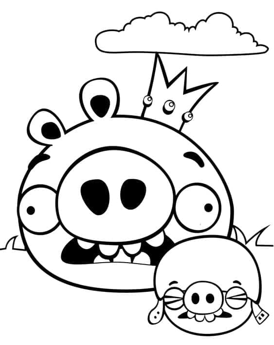 Angry Birds (8) Boyama Sayfası