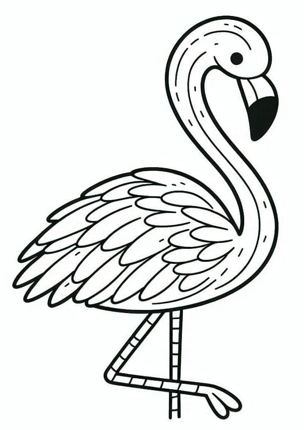 Baskı Flamingo Boyama Sayfası