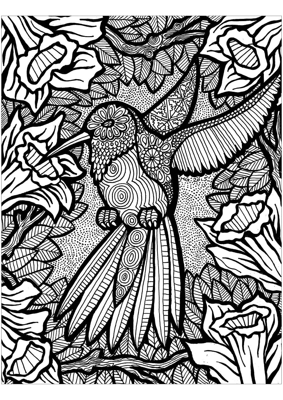 Bedava Zentangle Görüntü Boyama Sayfası