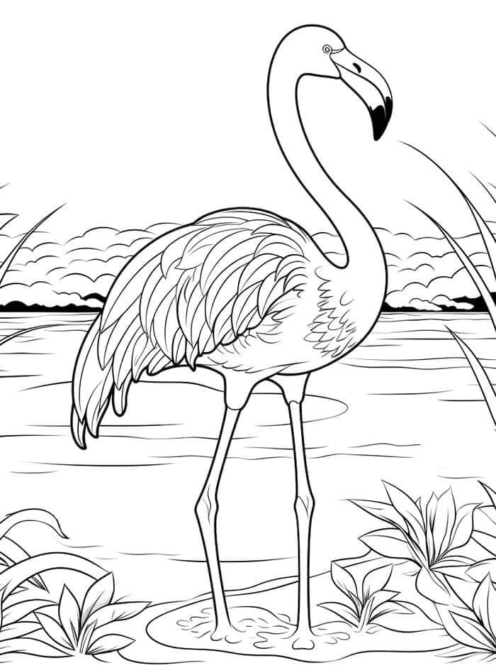 Bedava baskı Flamingo Boyama Sayfası