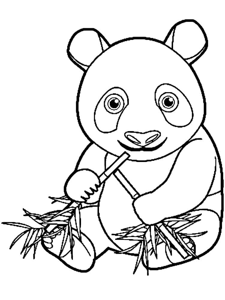 Çizgi Panda Boyama Sayfası