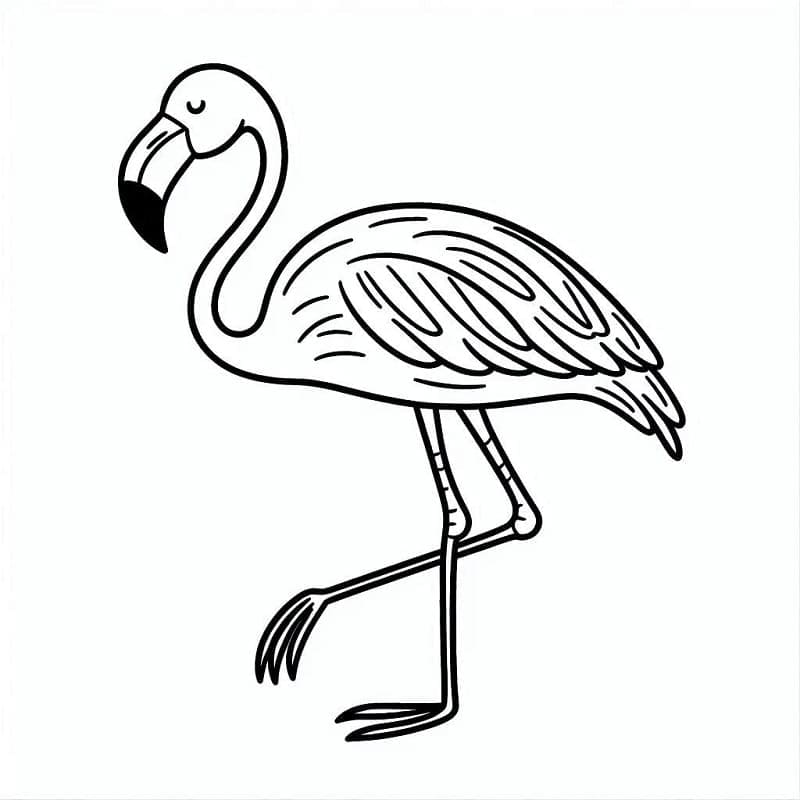 Çocuk baskı Flamingo Boyama Sayfası