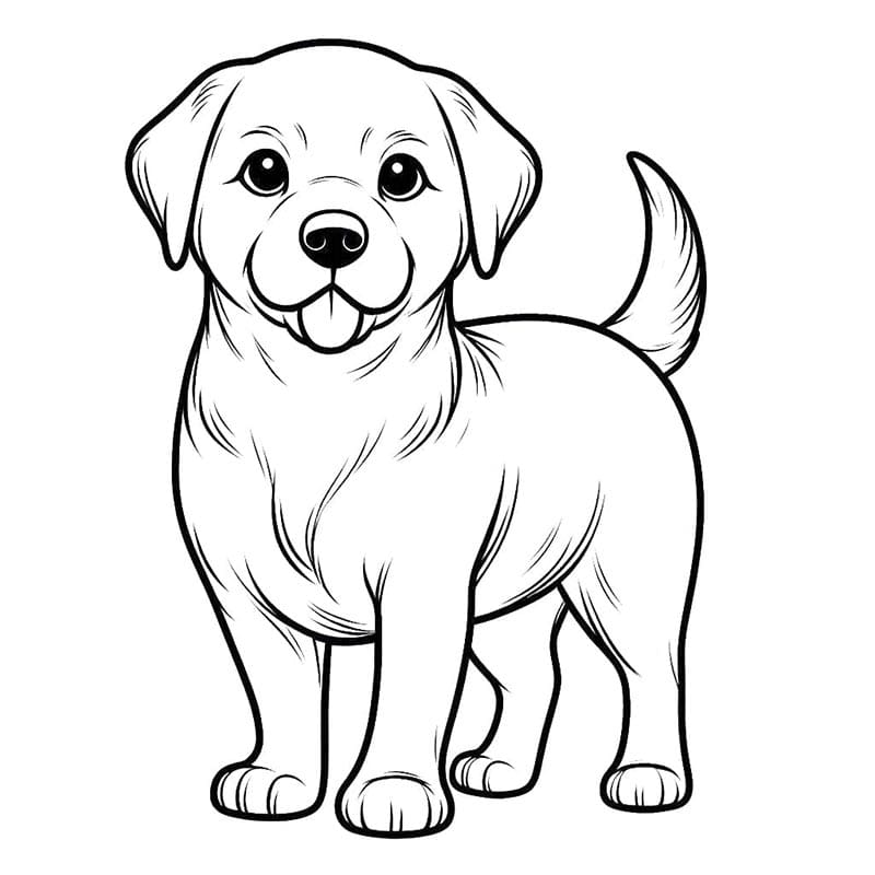 Çocuklar İçin Yazdırılabilir Köpek Boyama Sayfası