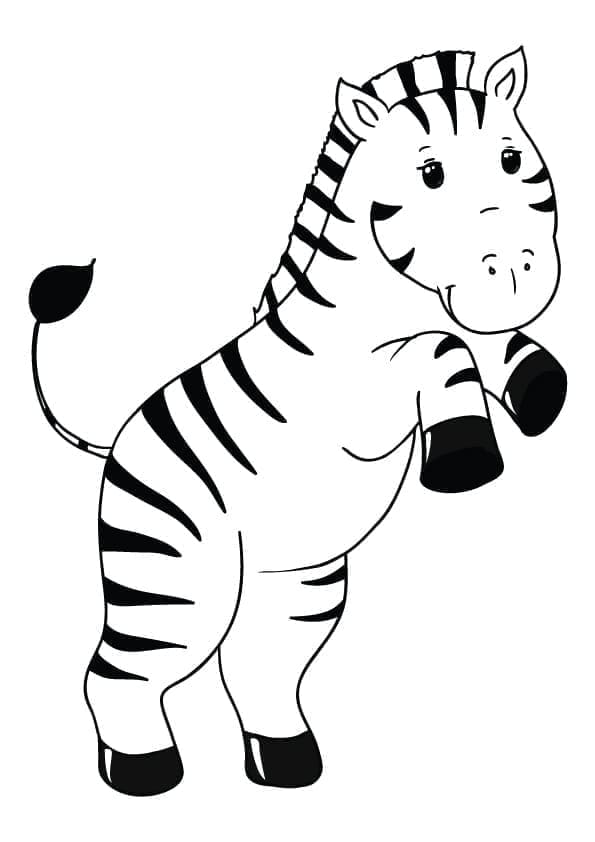 Çocuklar İçin Zebra Boyama Sayfası