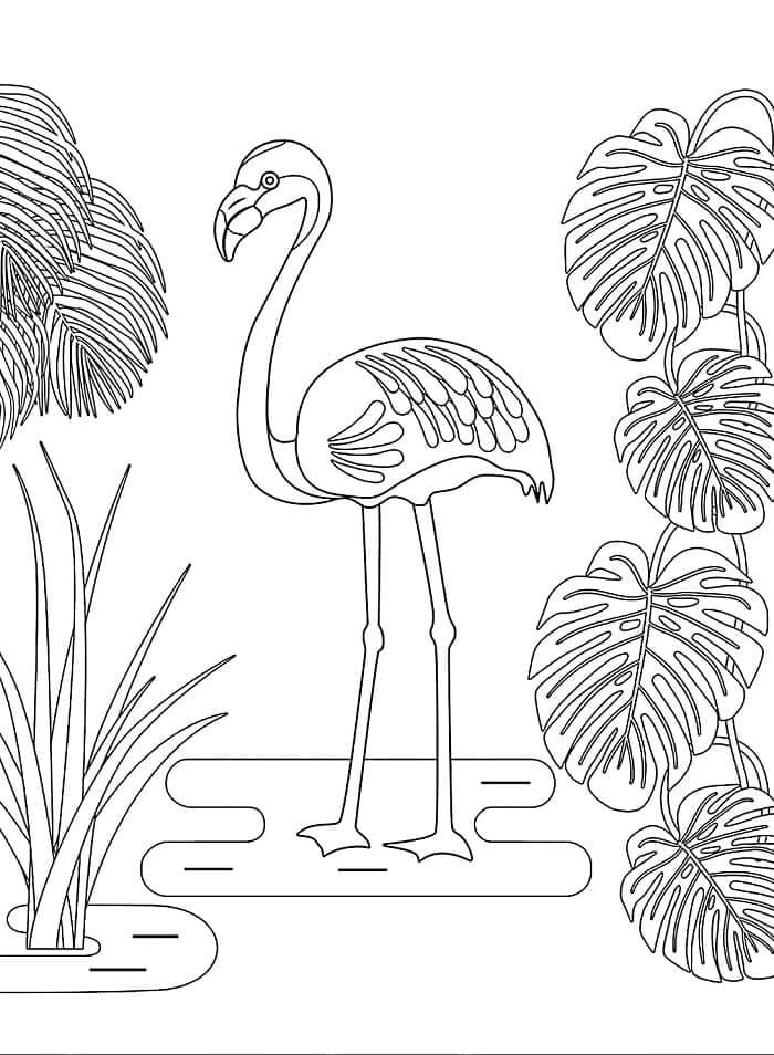 Çocuklar için yazdır Flamingo Boyama Sayfası