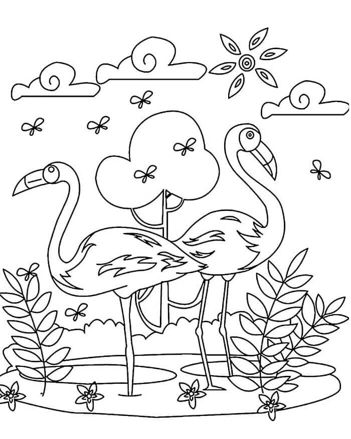 Flamingo (5) Boyama Sayfası