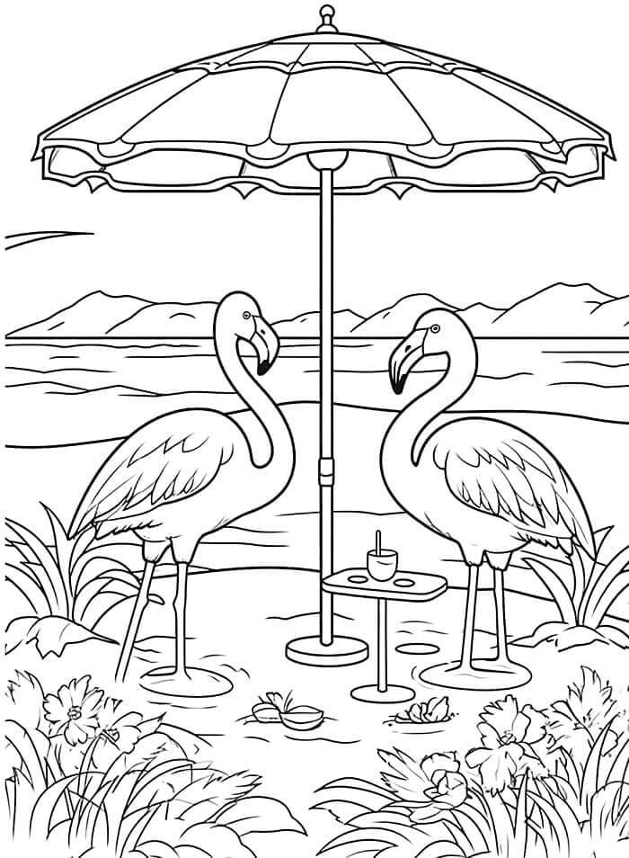 Flamingo (6) Boyama Sayfası