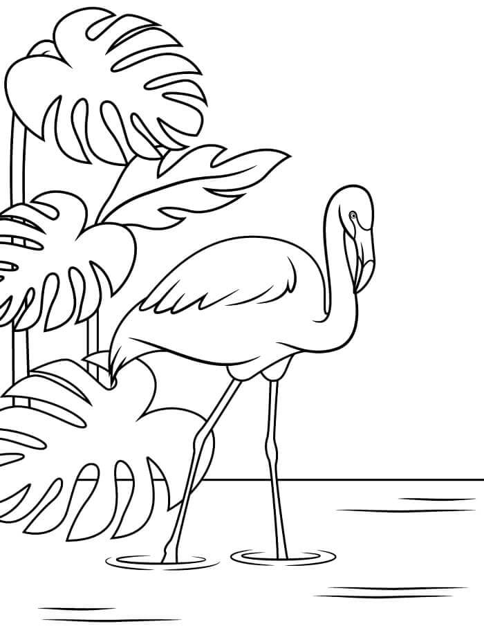 Flamingo bedava görsel Boyama Sayfası