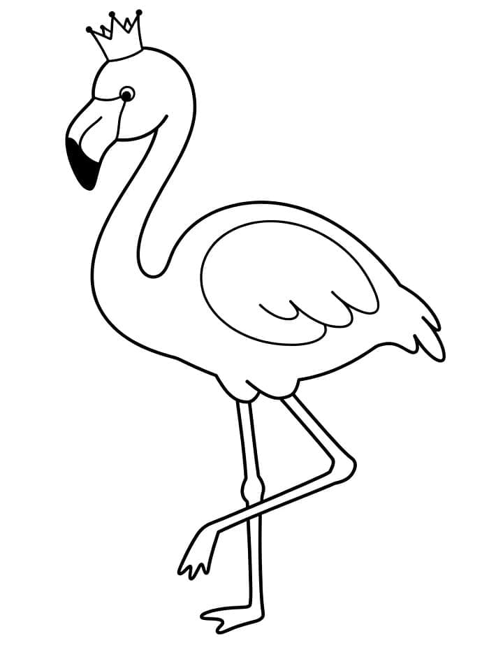 Güzel Flamingo Boyama Sayfası