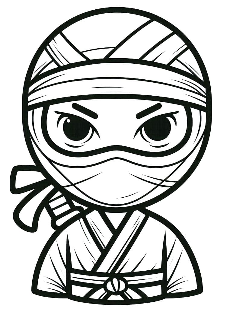 Havalı Ninja Boyama Sayfası