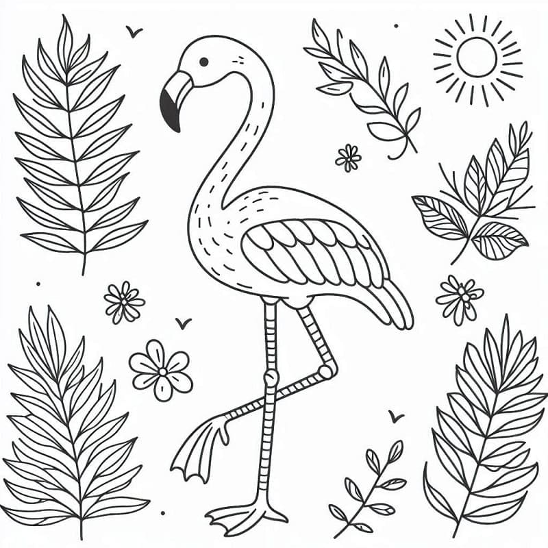 Hediye Flamingo Boyama Sayfası