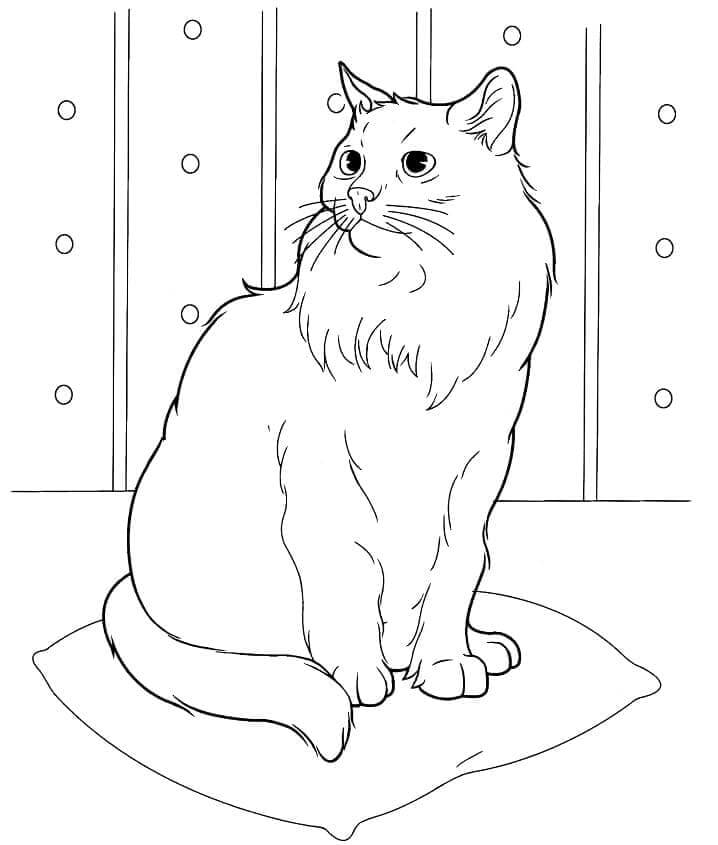 Kedi (13) Boyama Sayfası
