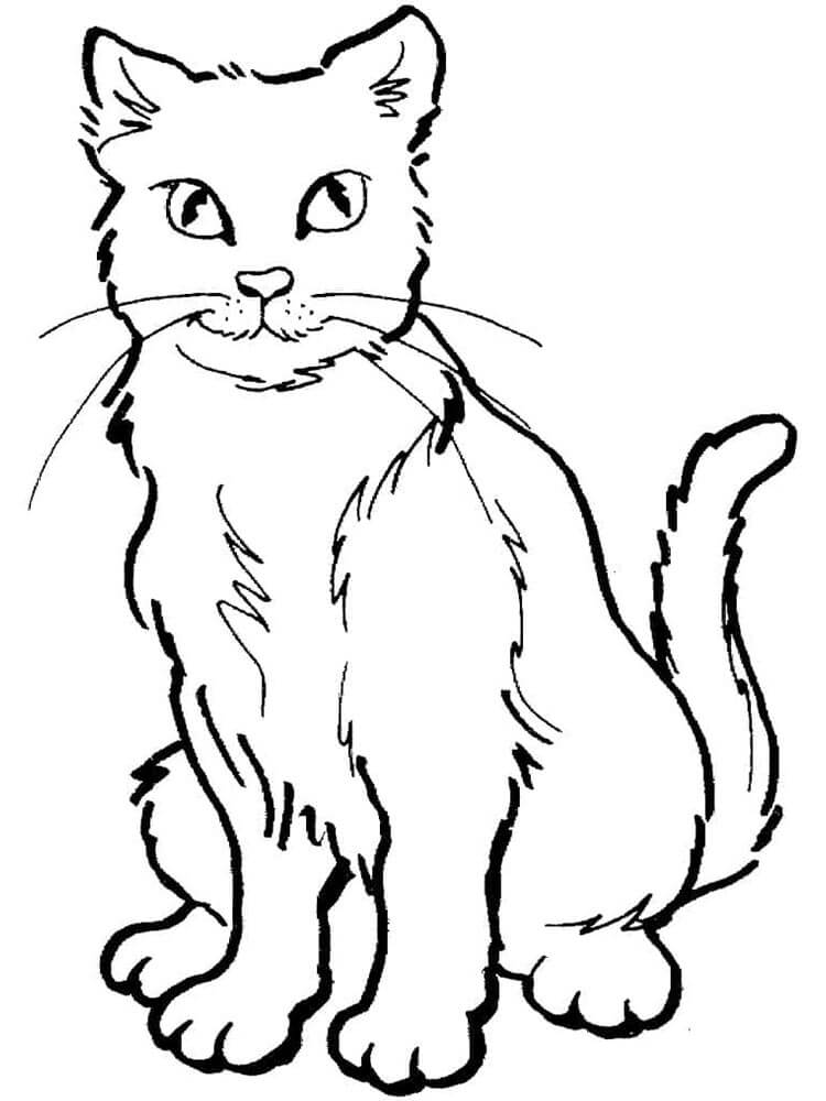 Kedi (15) Boyama Sayfası
