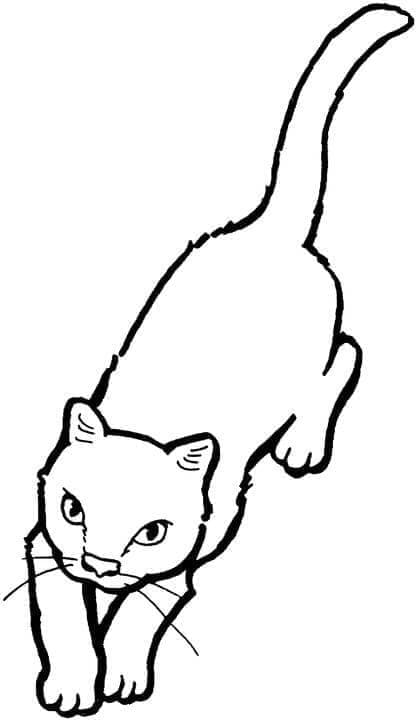 Kedi Bedava Boyama Sayfası