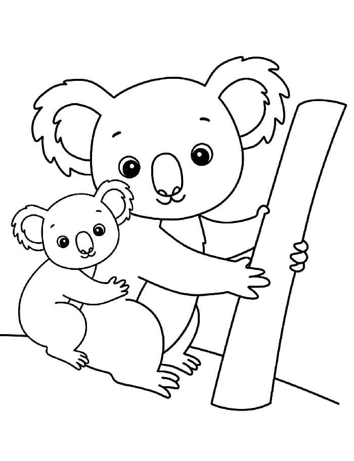 Koala (12) Boyama Sayfası