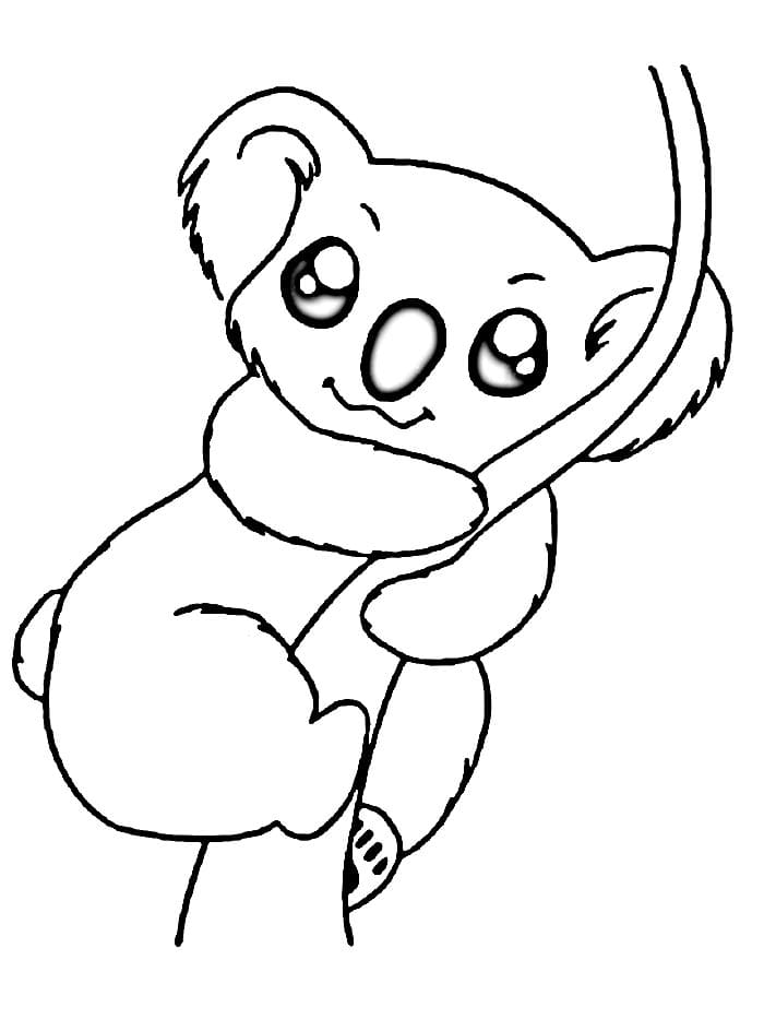 Koala Bedava Boyama Sayfası