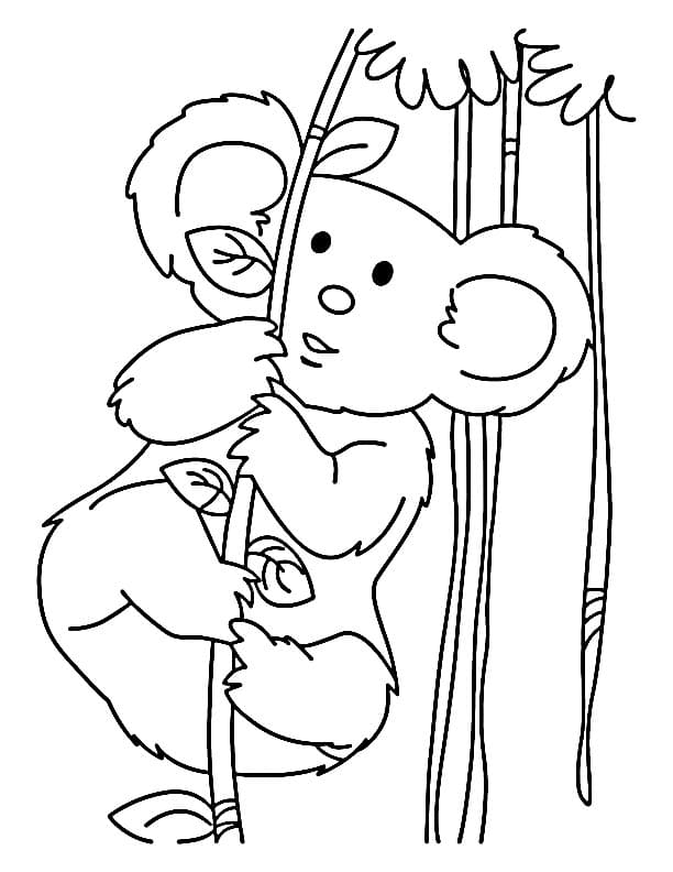 Koala Yazdırılabilir Boyama Sayfası