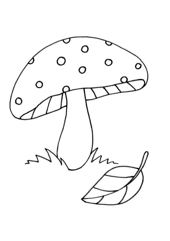 Mantar (4) Boyama Sayfası