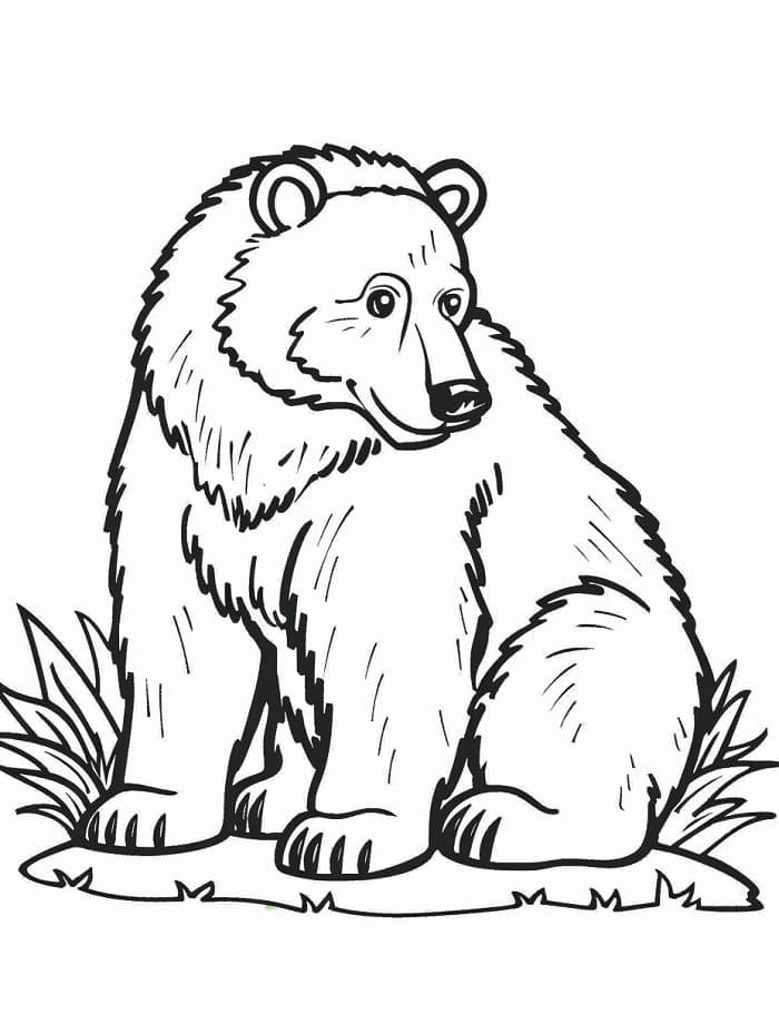 Neşeli Ayı Boyama Sayfası