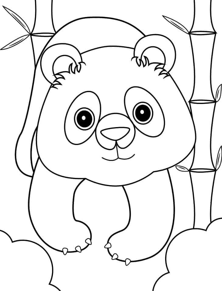 Panda (14) Boyama Sayfası