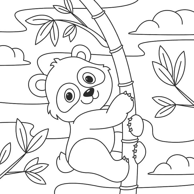 Panda (8) Boyama Sayfası