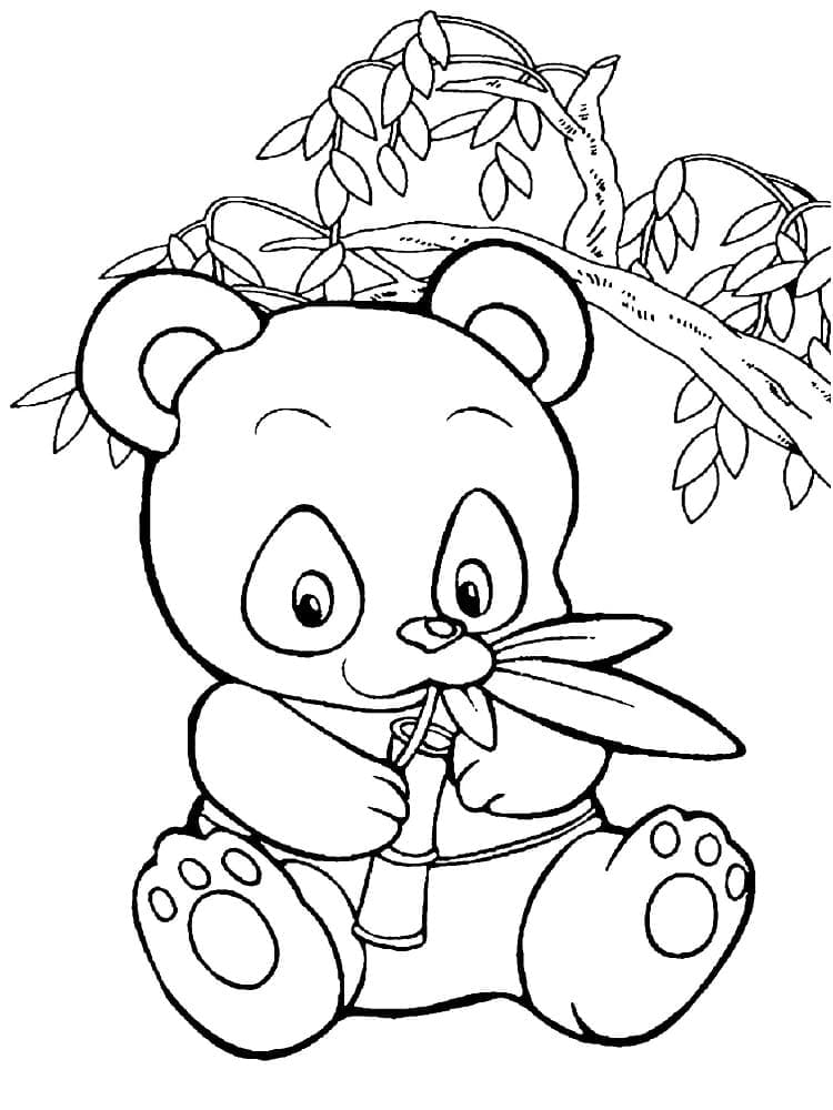 Panda Resmi Boyama Sayfası