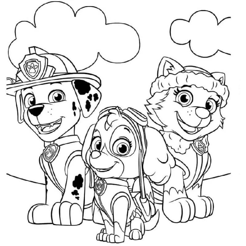 Paw Patrol (13) Boyama Sayfası