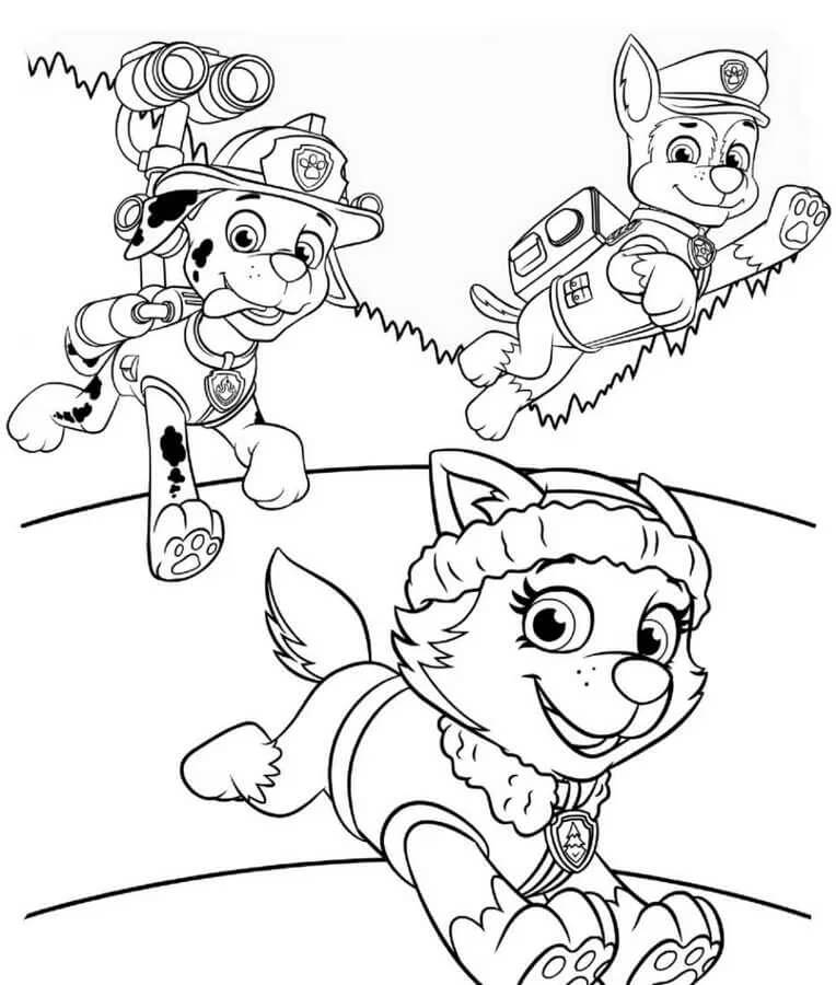 Paw Patrol (17) Boyama Sayfası