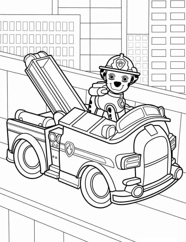 Paw Patrol (8) Boyama Sayfası