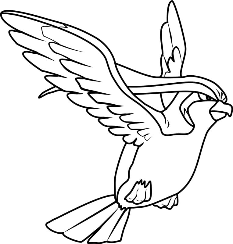 Pidgeot Pokemon Boyama Sayfası