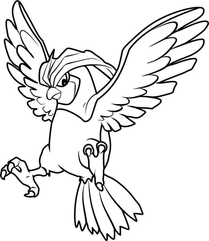 Pidgeotto Pokemon Boyama Sayfası