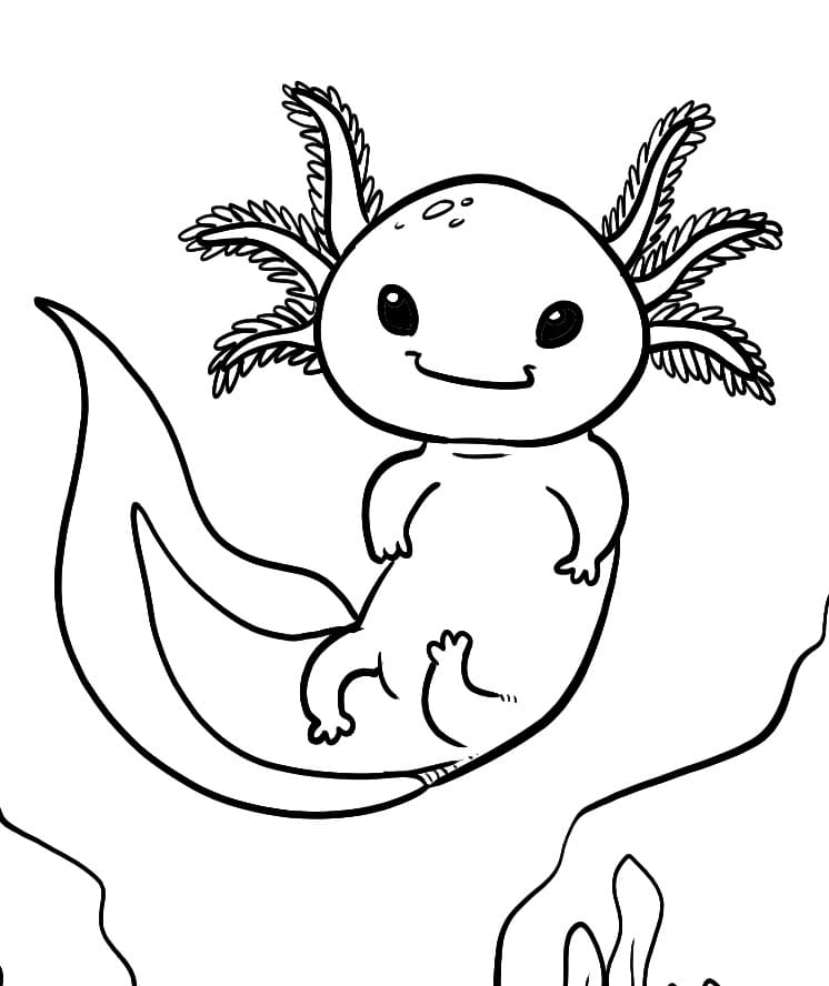 Tatlı Bir Aksolotl Boyama Sayfası