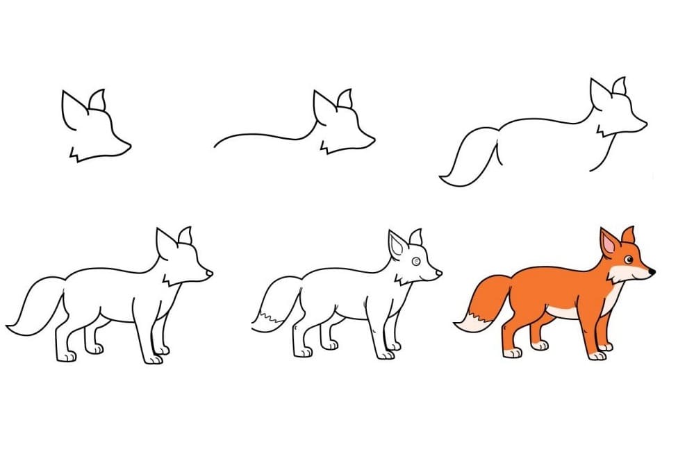 Tilki Nasıl Çizilir