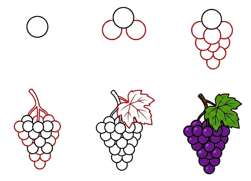 Üzümler Nasıl Çizilir
