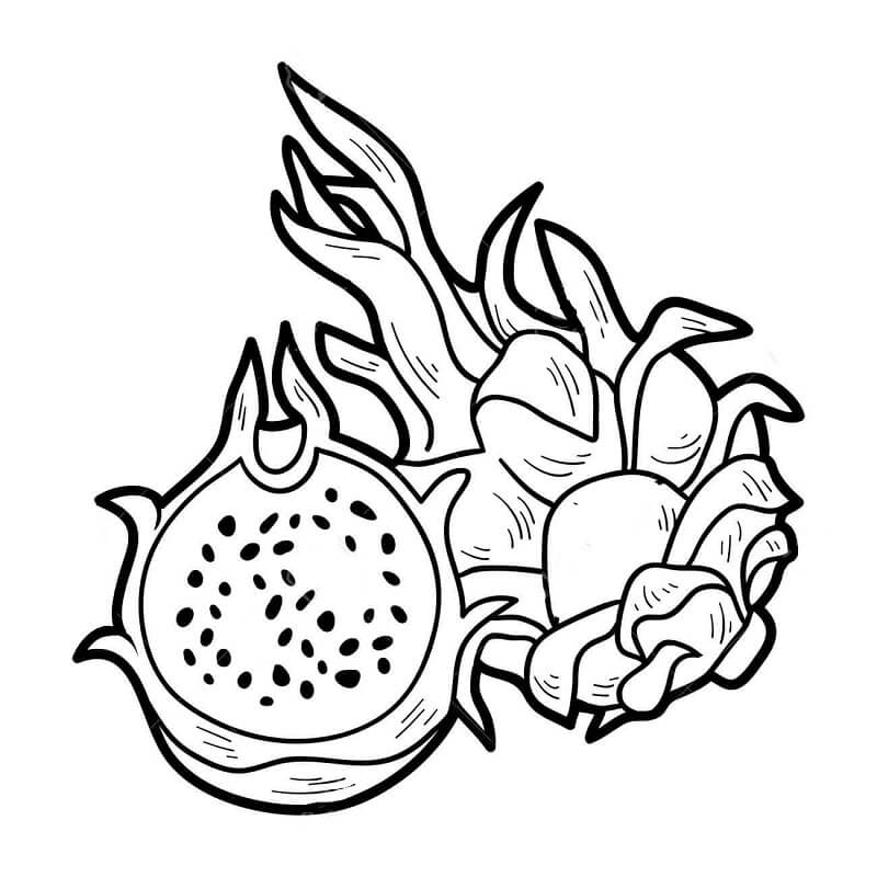 Yazdırılabilir Meyveler Ücretsiz Boyama Sayfası