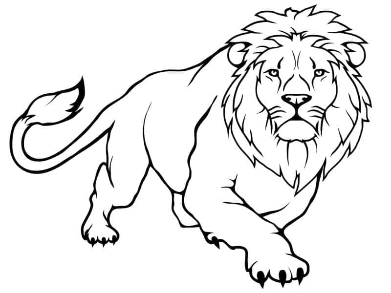 Yazdırılacak Aslan Boyama Sayfası