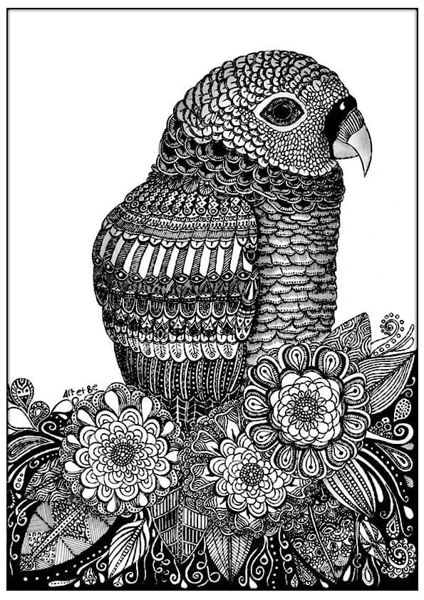 Yetişkinler İçin Bedava Zentangle Boyama Sayfası