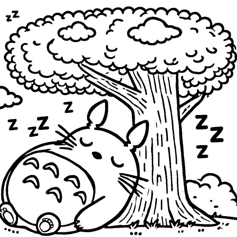 6 Yaş Çocuklar İçin Totoro Boyama Sayfası