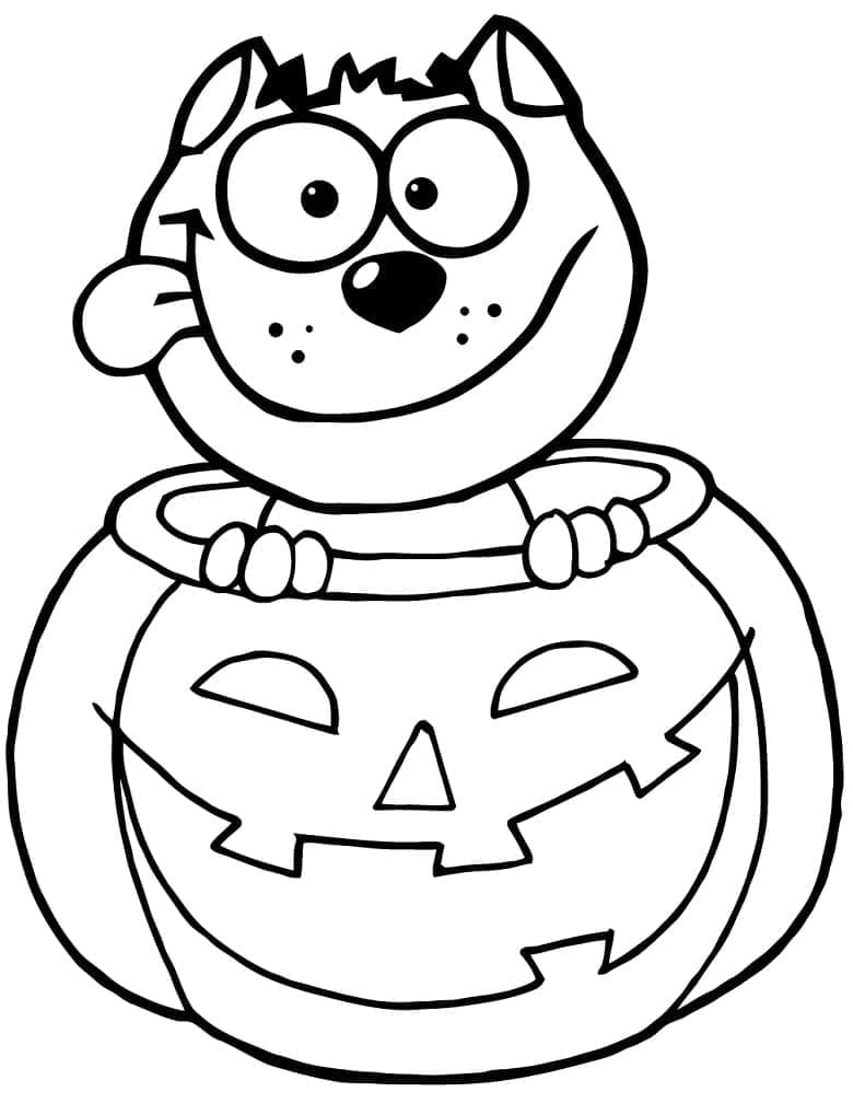 Canlı Halloween Kedi Boyama Sayfası