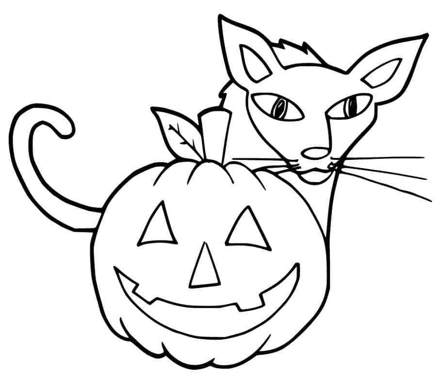 Çirkin Halloween Kedi Boyama Sayfası
