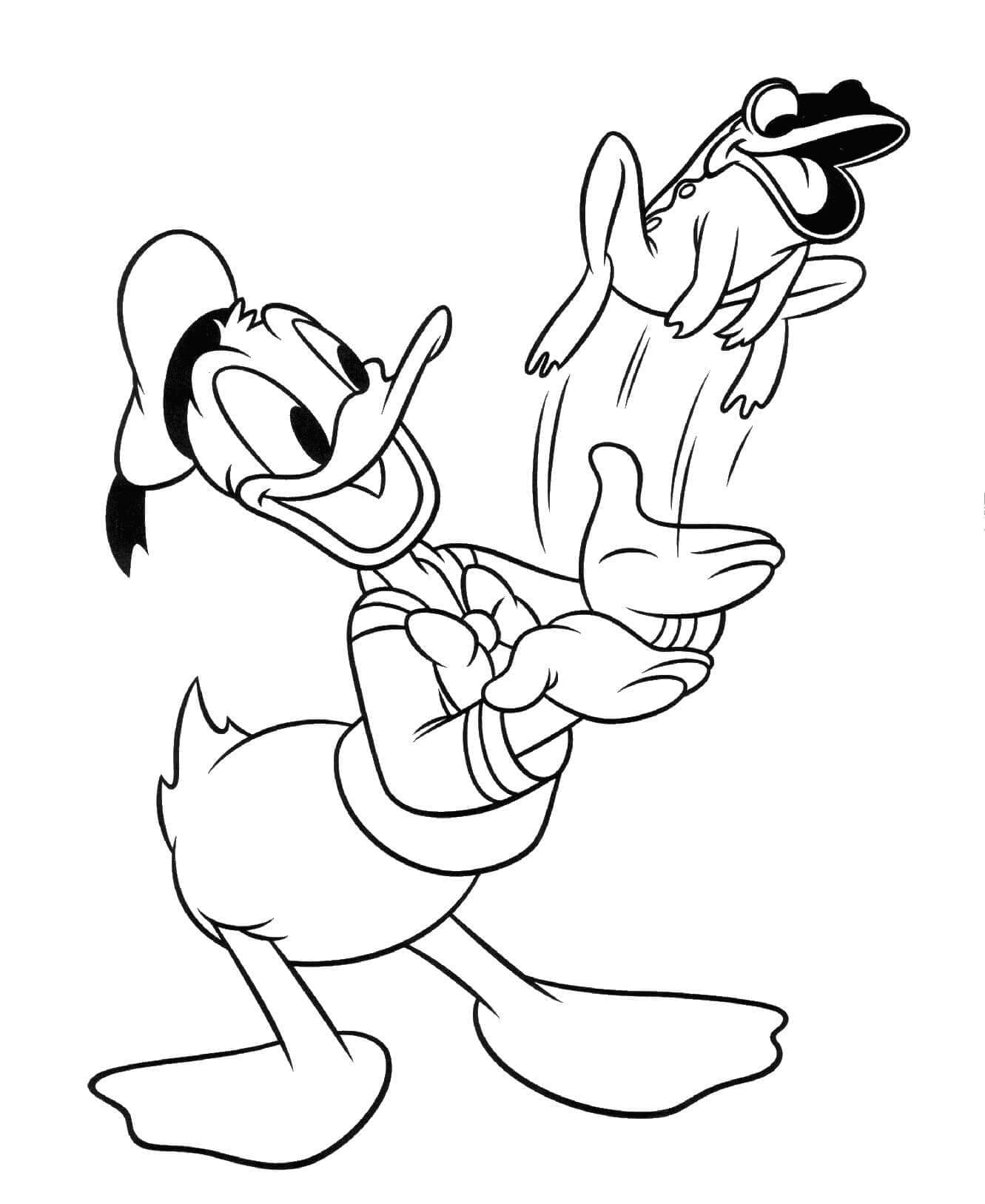 Donald Duck ve Kurbağa Boyama Sayfası
