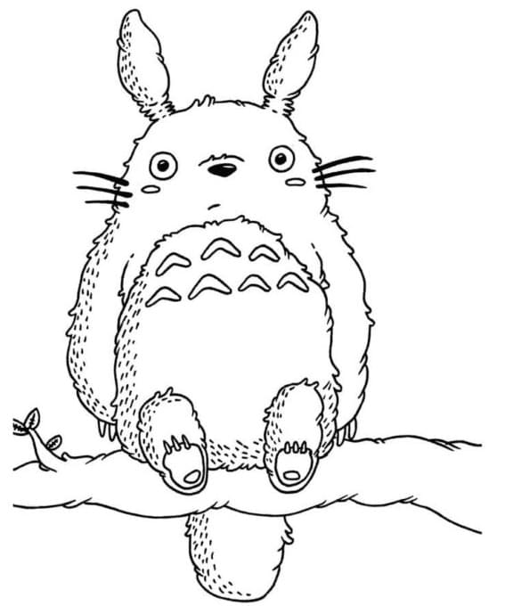 Dostane Totoro Boyama Sayfası