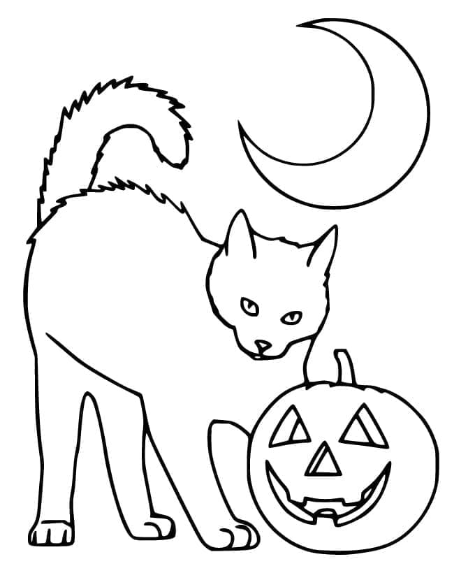 Halloween Kedi ve Ay Boyama Sayfası