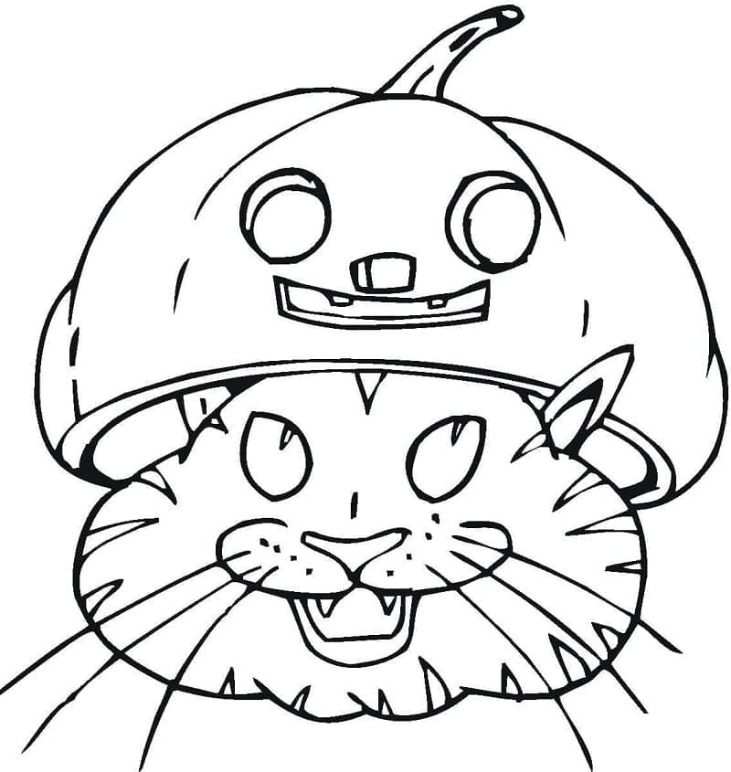 Halloween Kedi ve Balkabağı Şapkası Boyama Sayfası