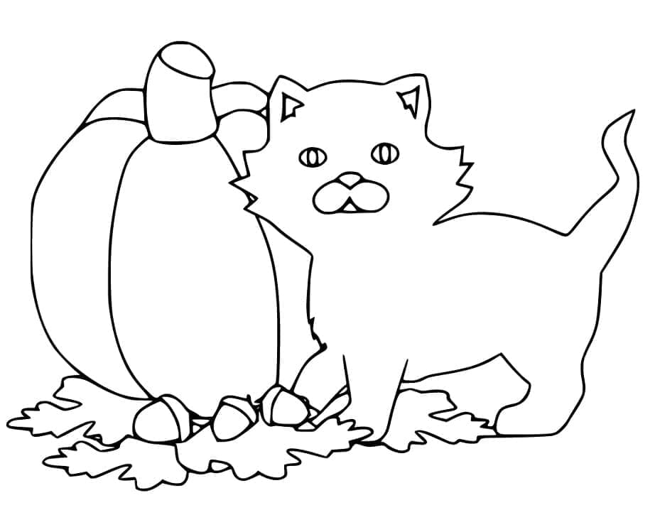 Halloween Kedi ve Balkabağı Boyama Sayfası