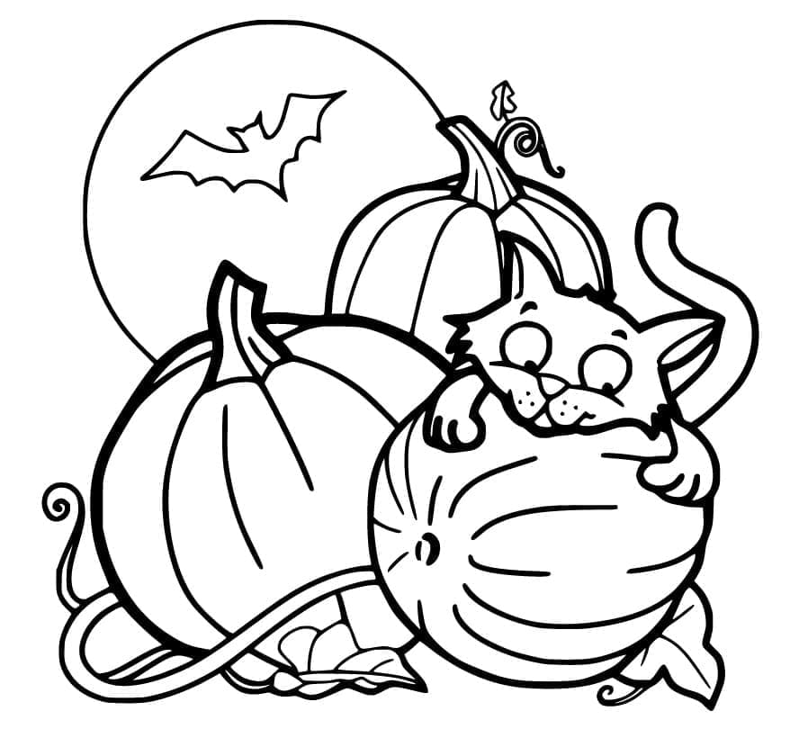 Halloween Kedi ve Balkabakları ile Boyama Sayfası