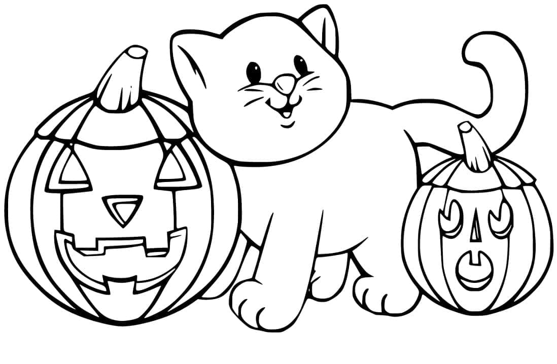 Halloween Kedi ve Balkabakları Boyama Sayfası